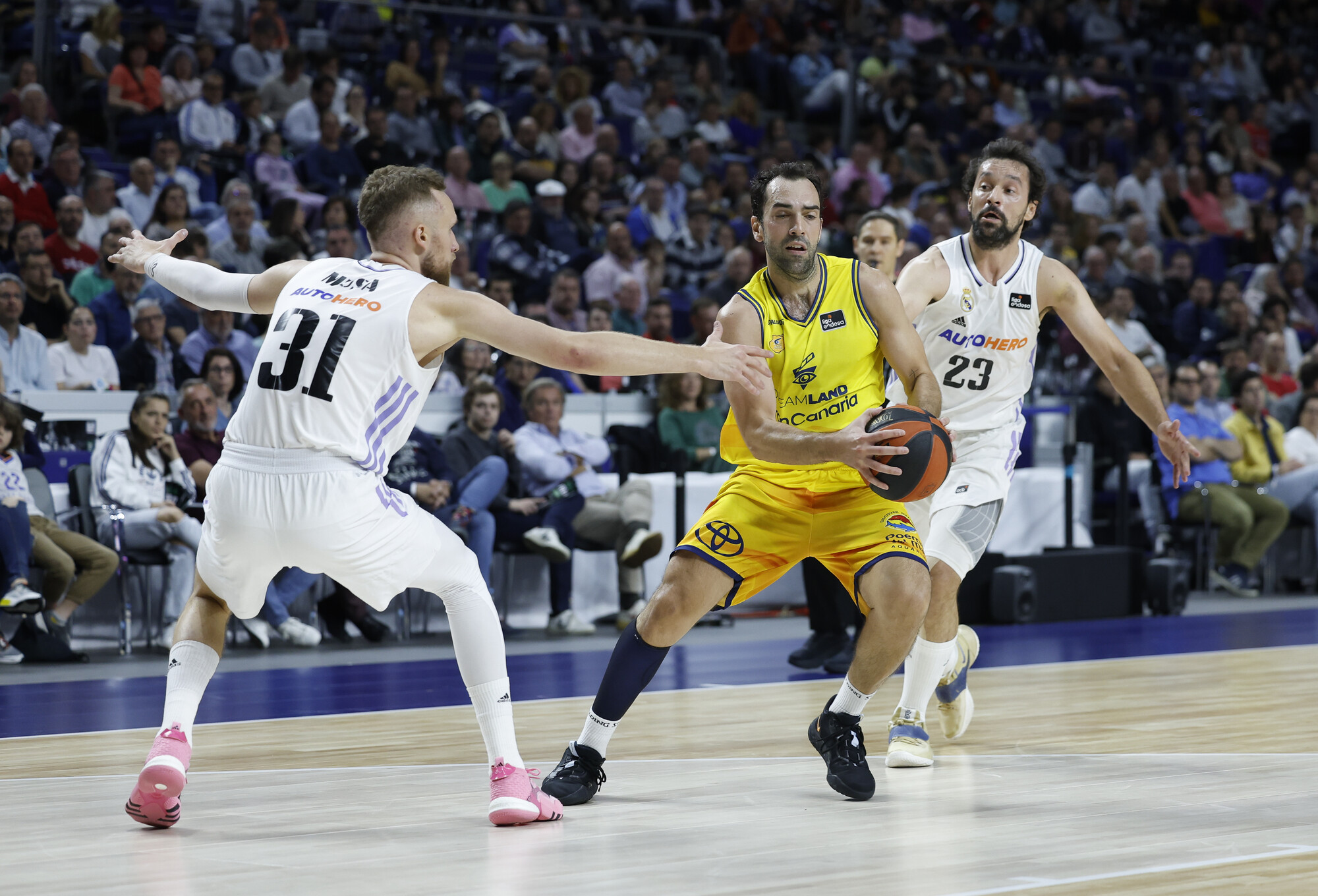 Partido de baloncesto entre Real Madrid y Dreamland Gran Canaria en acción.