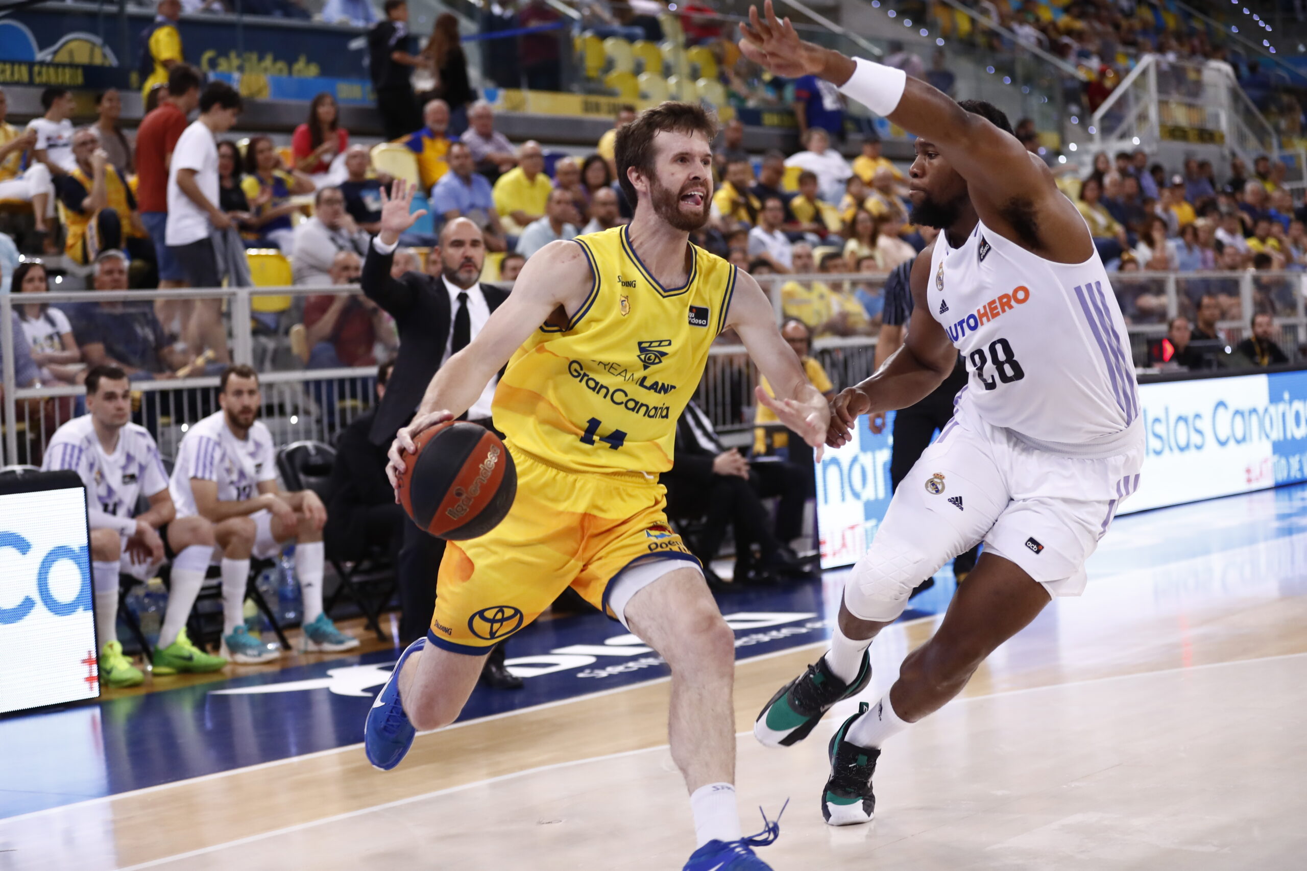 Jugador del Dreamland Gran Canaria driblando mientras es defendido por un oponente.