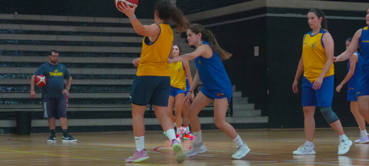 Jugadoras de baloncesto entrenando en el gimnasio, lanzando el balón y en acción.