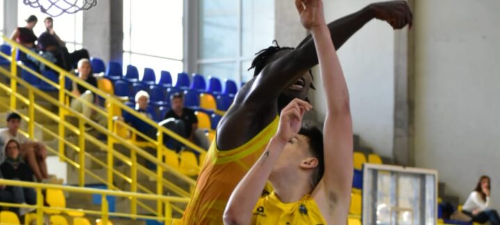 Jugadores en acción durante un encuentro de la cantera del Club Baloncesto Gran Canaria.